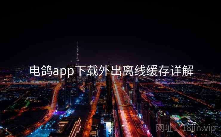 电鸽app下载外出离线缓存详解 电鸽app下载外出离线缓存详解