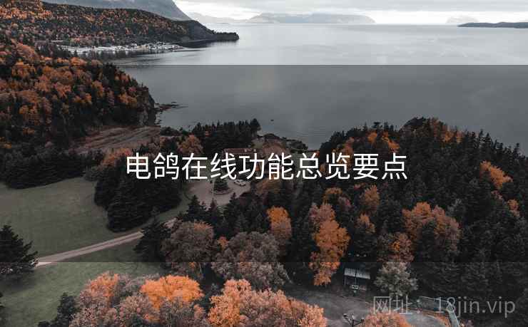 电鸽在线功能总览要点