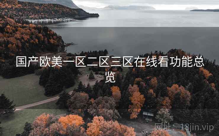 国产欧美一区二区三区在线看功能总览