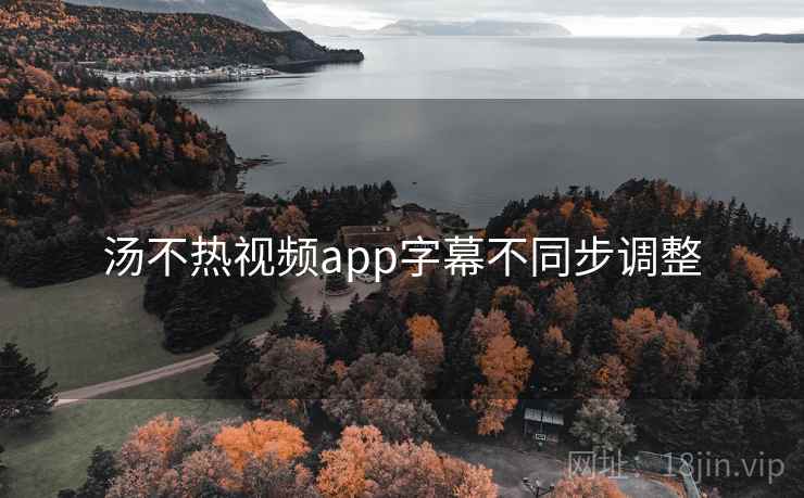 汤不热视频app字幕不同步调整