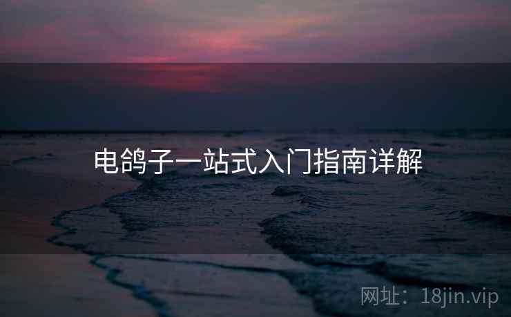 电鸽子一站式入门指南详解