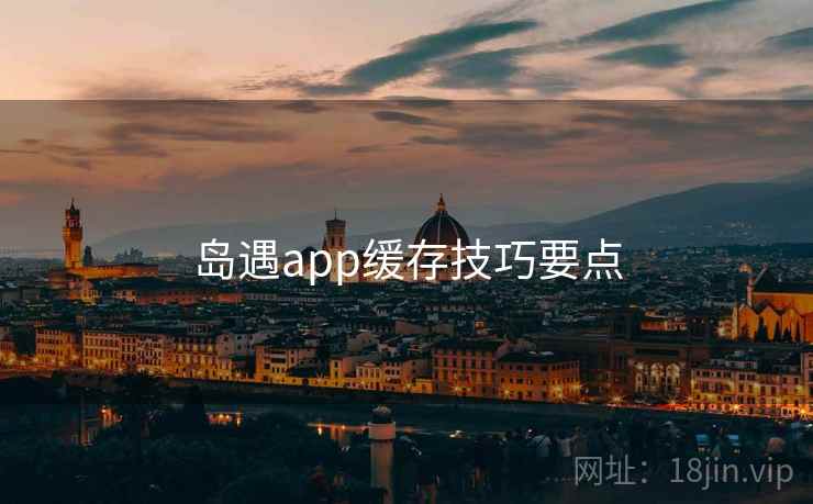 岛遇app缓存技巧要点